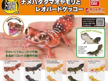 BANDAI Smooth knob-tailed & Leopard Gecko All 5 Types Set Figure Capsule Toy For Discount